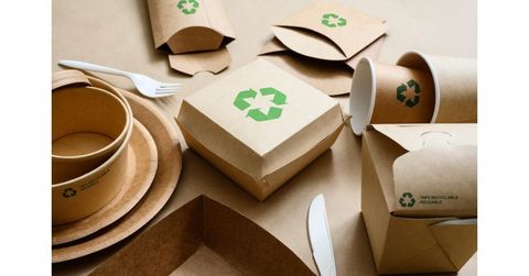 Comparing Sustainable Packaging Materials and Their Impact