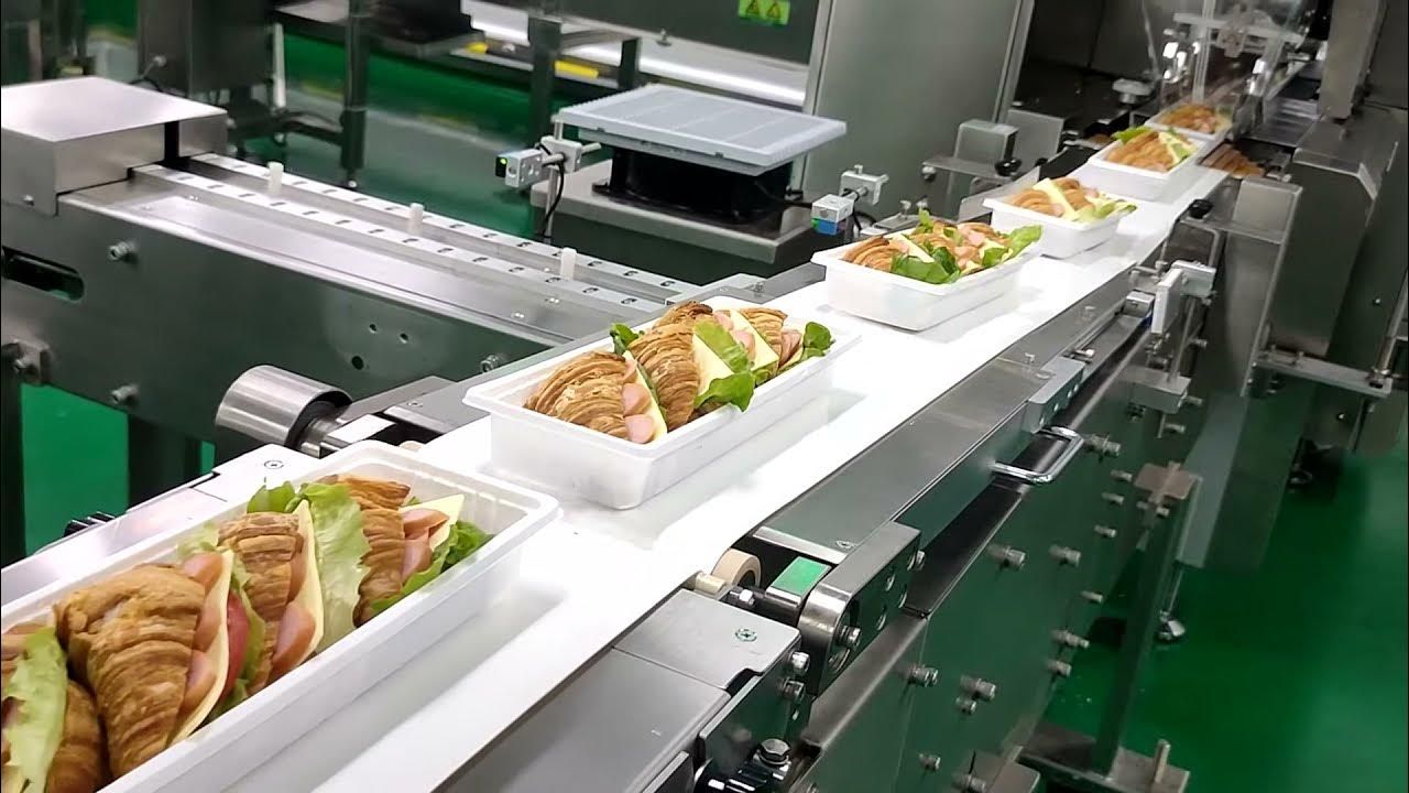 Understanding Food Packing Machines: A Detailed Guide